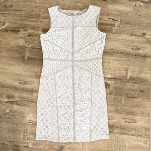 Maggy London Fitted Cream Latte Lined and Lace Mini Sheath Dress 12